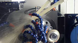 Vomat closeup