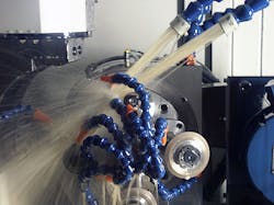 Vomat closeup Vomat closeup