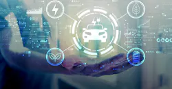 Dreamstime197523279 800 5fa0bff345328 Dreamstime197523279 800 5fa0bff345328