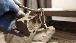 Selective 3 D Printing Image 616f194891d8c Selective 3 D Printing Image 616f194891d8c