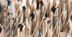 Finished metal drill tool set with protective coating and carbide insert. Finished metal drill tool set with protective coating and carbide insert.