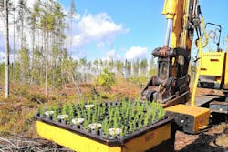 Risutec Oy reforstation system Risutec Oy reforstation system